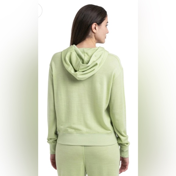 NWT [Icebreaker] Merino Blend Ii 200 Crush Pullover Hoodie in Glazen Women’s L - Picture 2 of 16